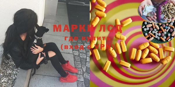 spice Надым