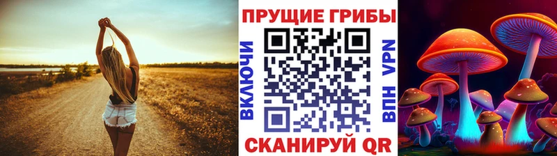Купить  Тула  Псилоцибиновые грибы мицелий 