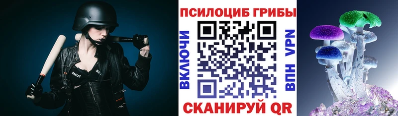 Псилоцибиновые грибы мицелий Тула