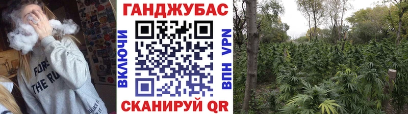 Конопля марихуана  Купить  Тула 